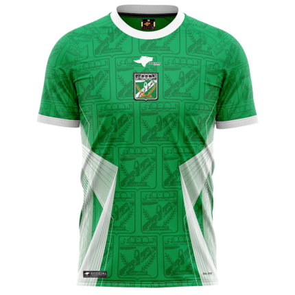 ALARABI MATCH T-SHIRT HOME 24/25